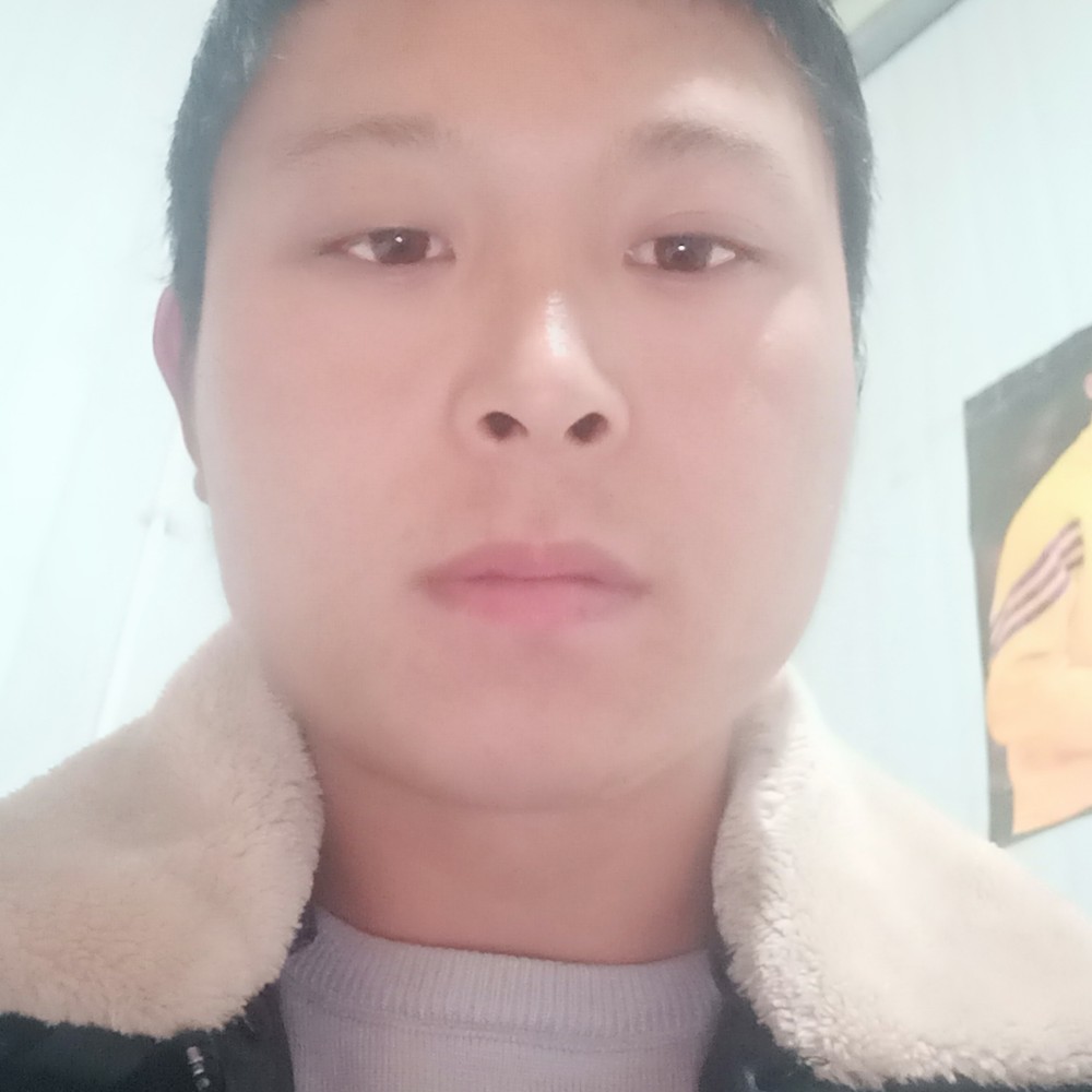 轻松斑马的照片