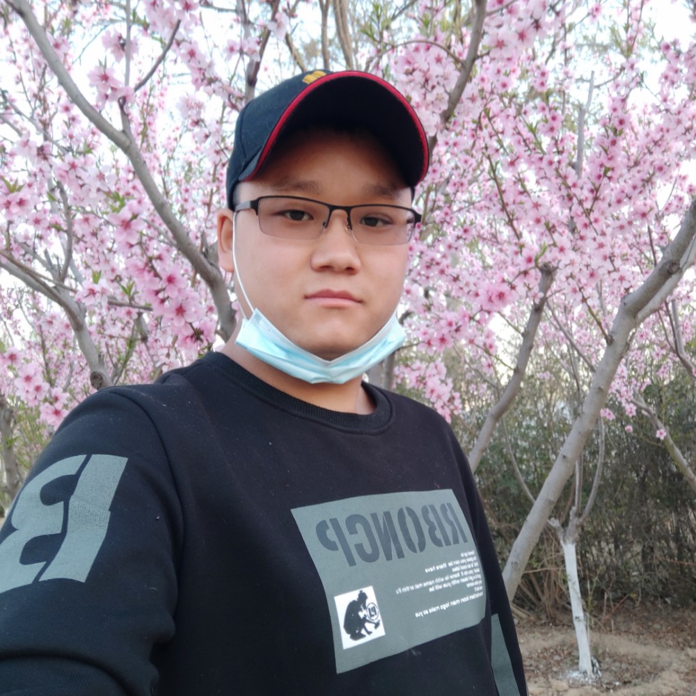 崖悔拾忆尊敬的照片