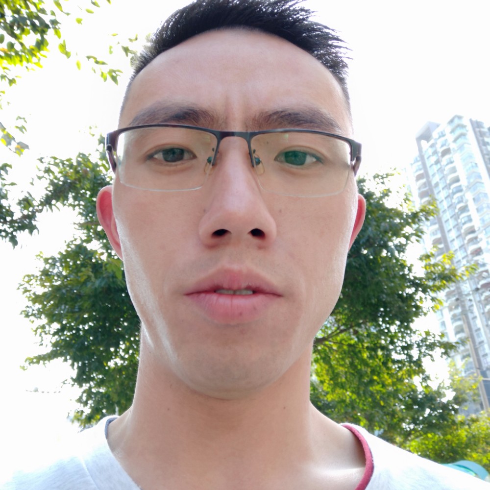 蚂蚁单纯的照片