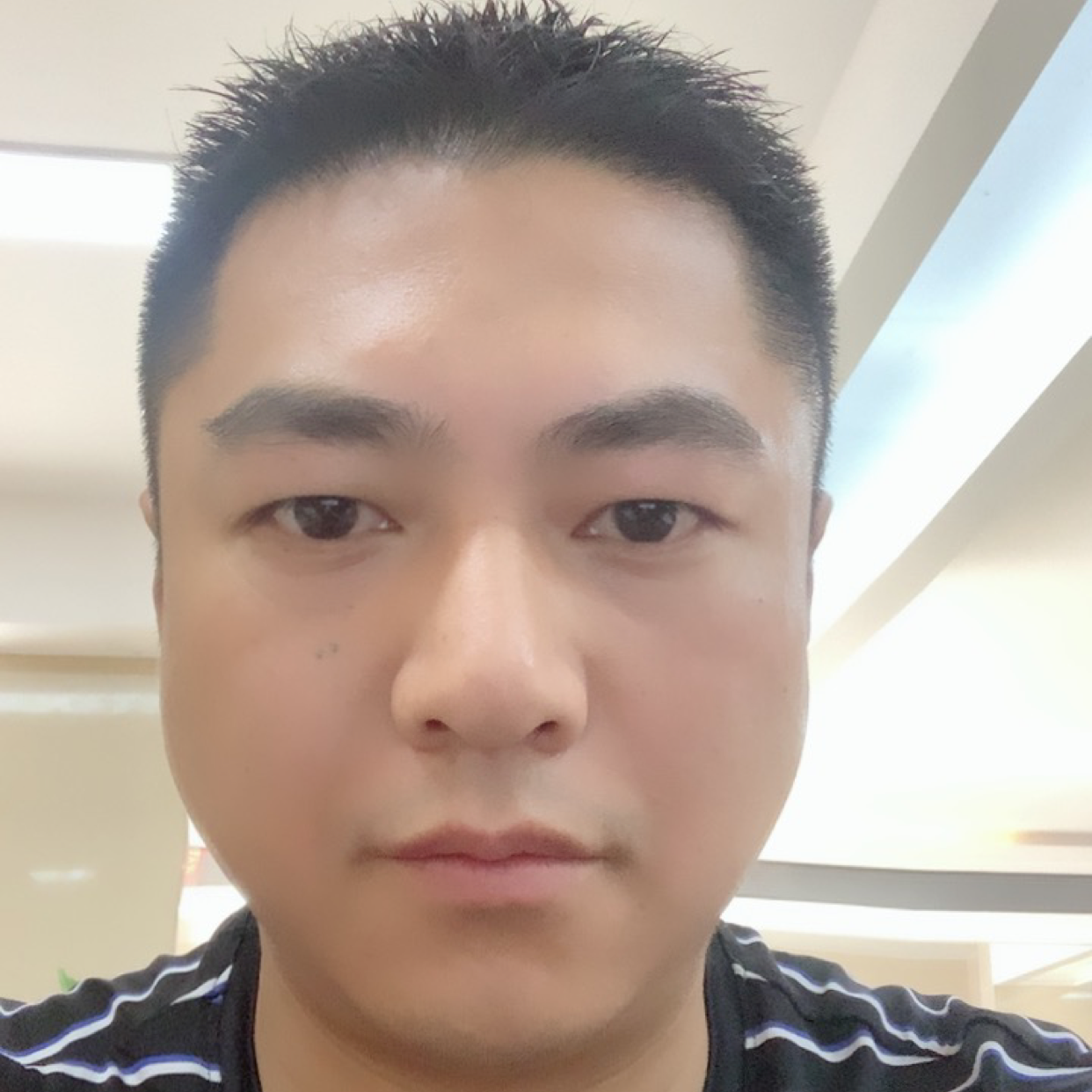 伤心的马驹的照片