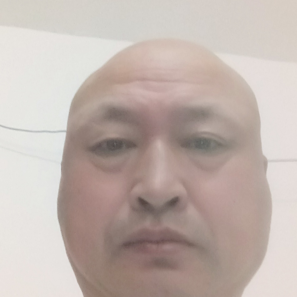 玫瑰扯明媚的照片