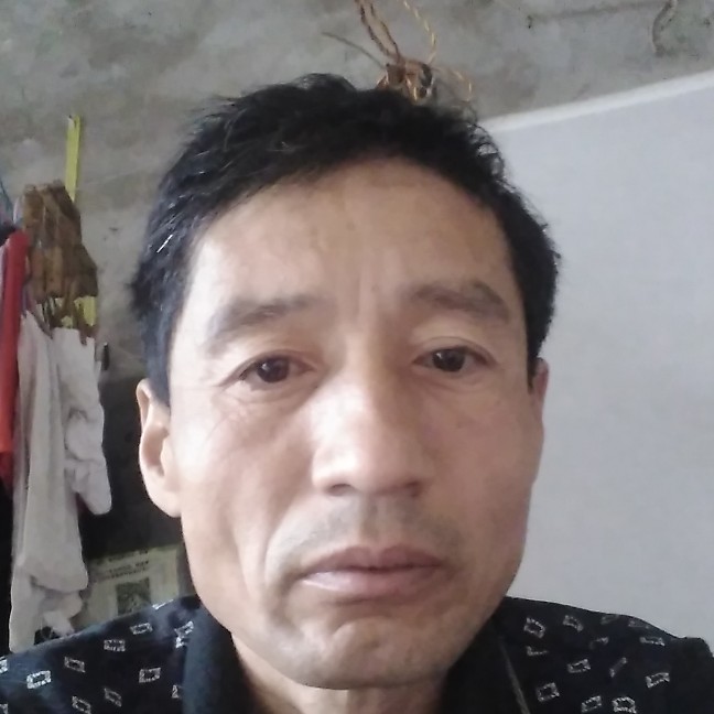 可爱的鸟的照片