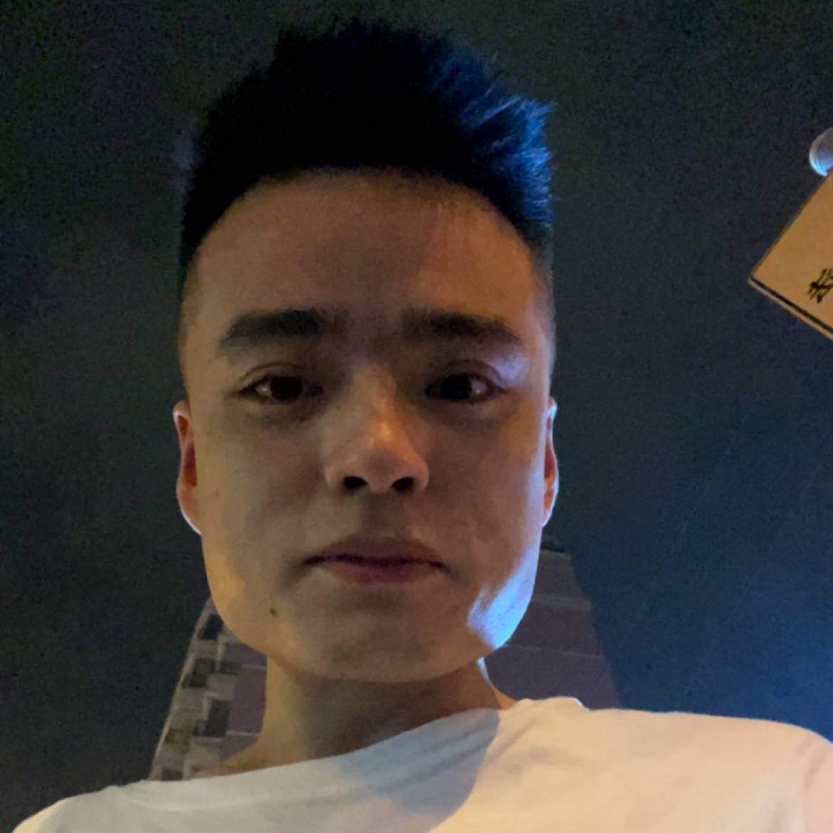 野马寻找归途的照片