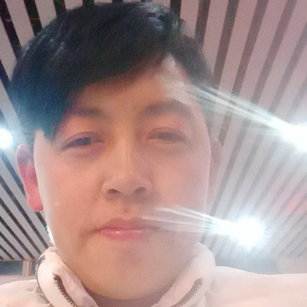 爱情的方向。的照片
