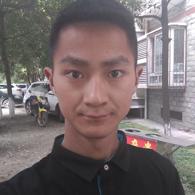 漂亮长颈鹿的照片