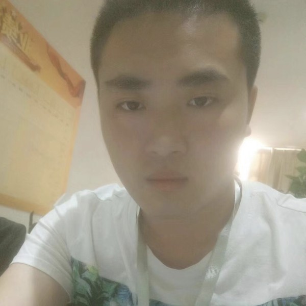 猪猪侠123的照片
