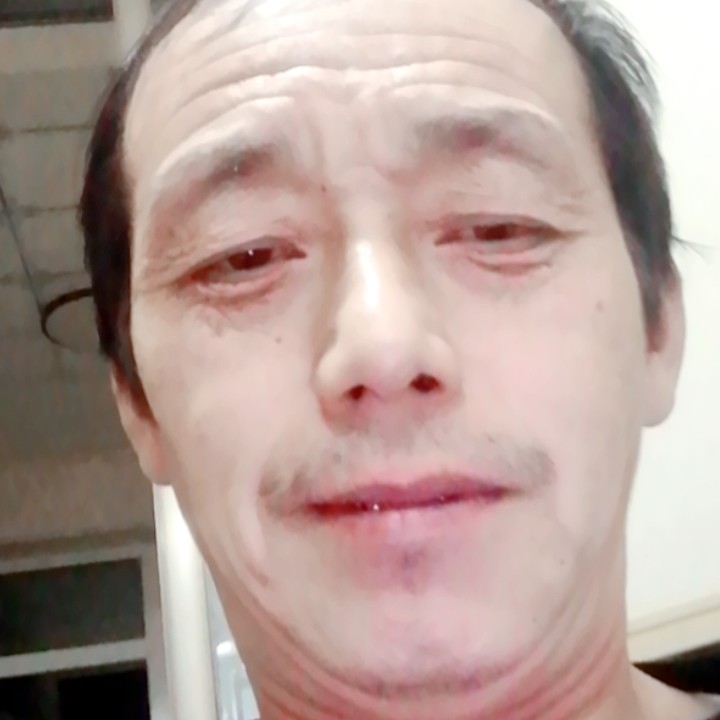 自然吃醋黄蜂的照片