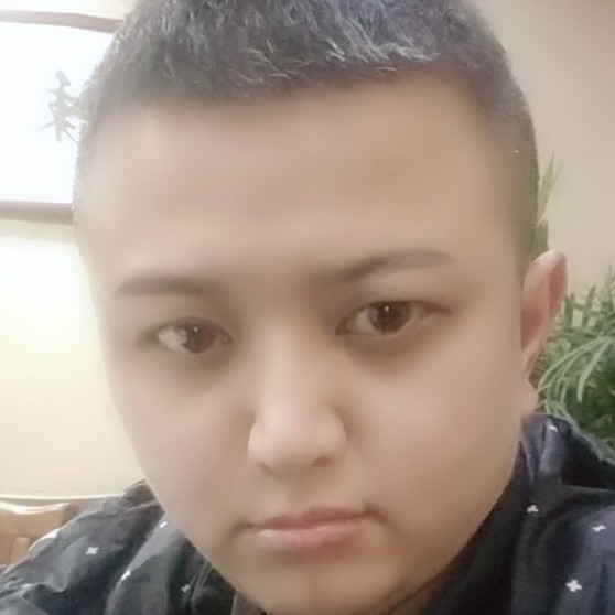 A  O sca的照片