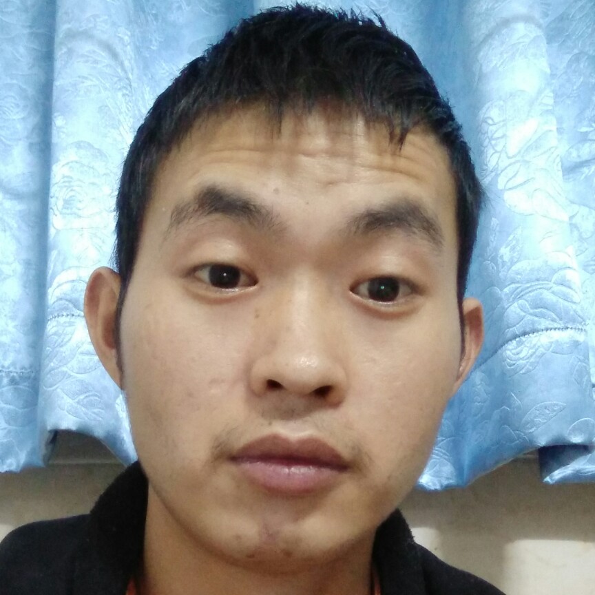 天真漫步红玫瑰的照片