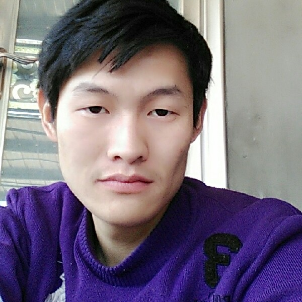 强健河马的照片