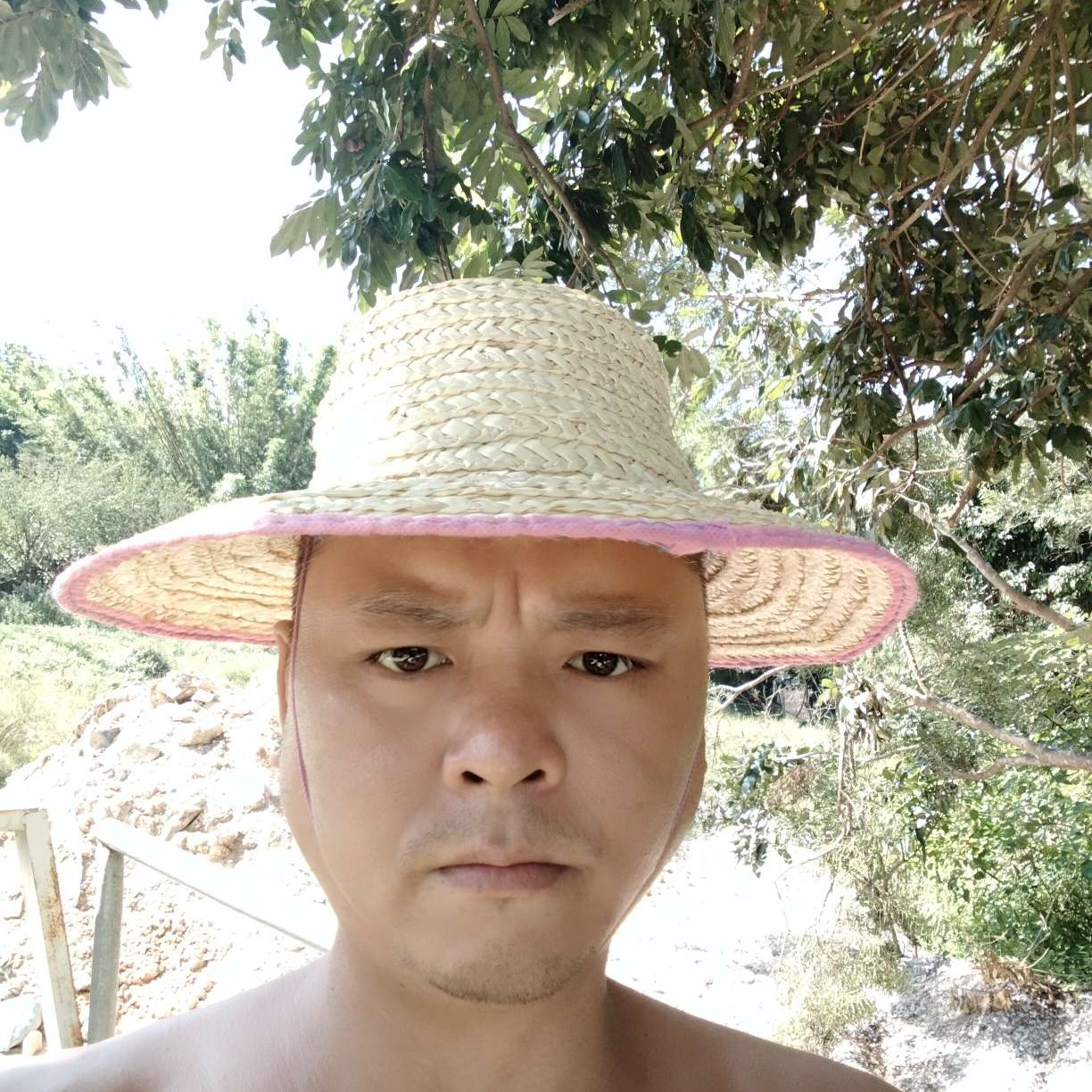 小懒虫向清爽的照片