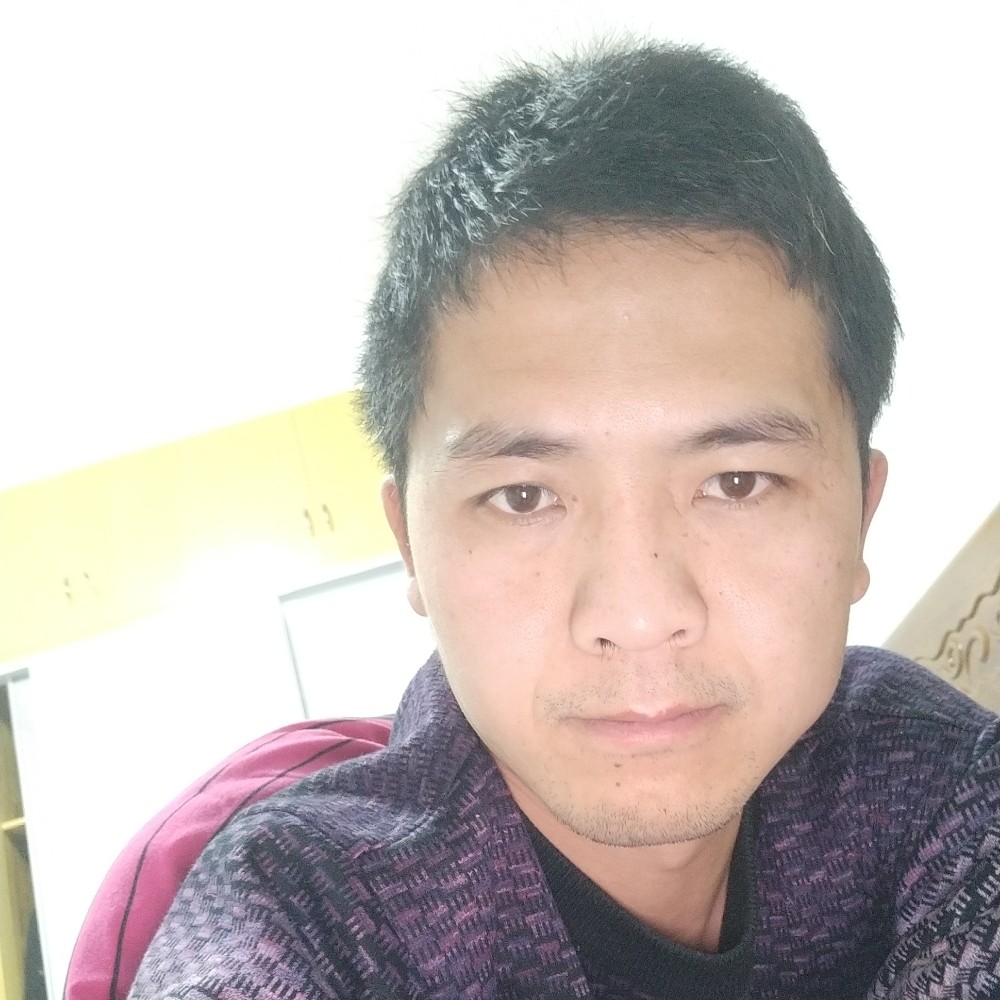 北极熊小黑的照片