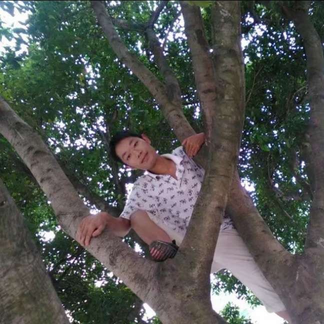妳若安好便是快乐的照片
