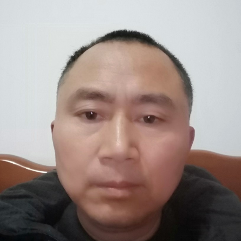 重阳马的照片