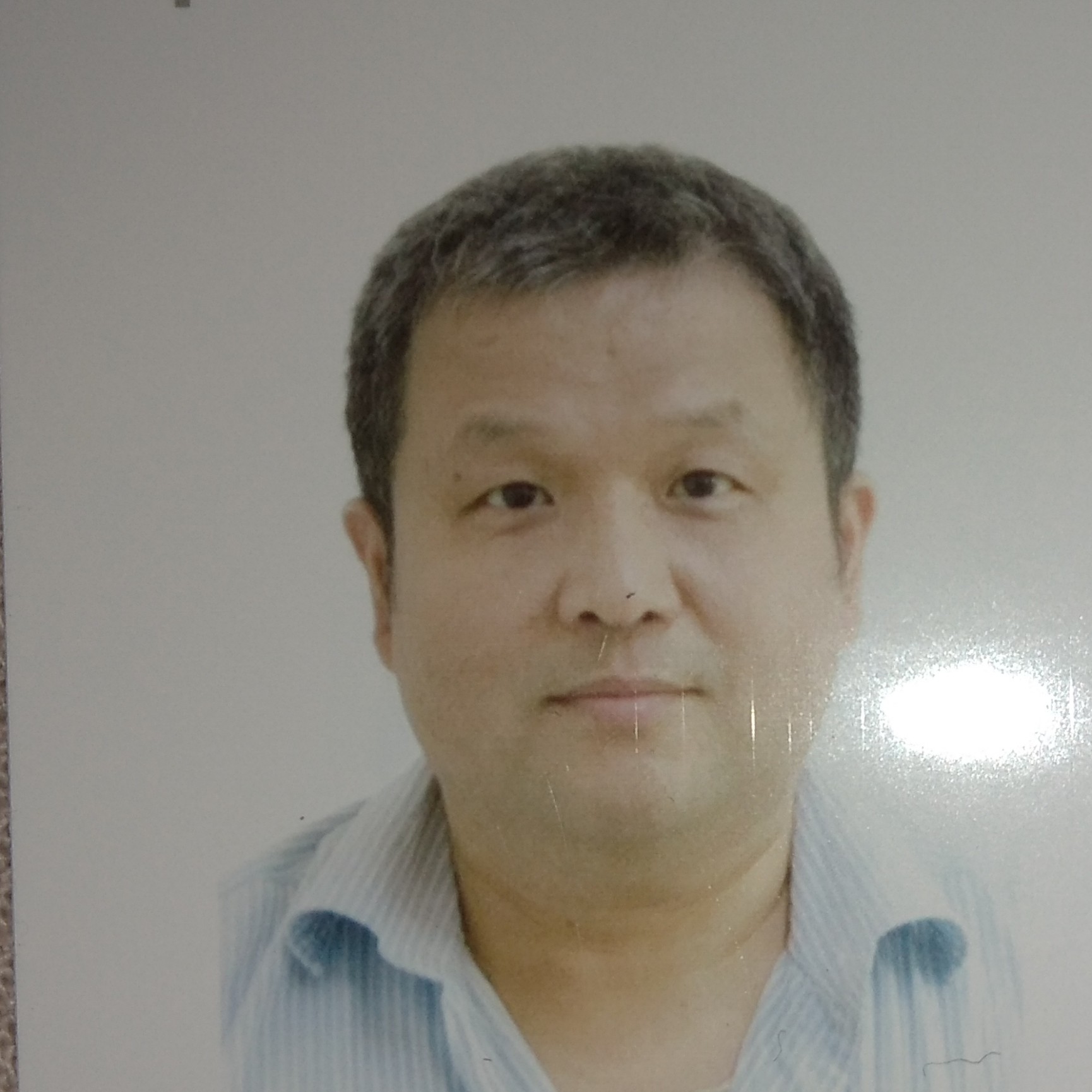 一尾小丑魚的照片