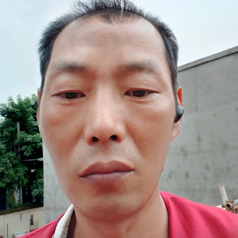 鸭子打寂寞的照片