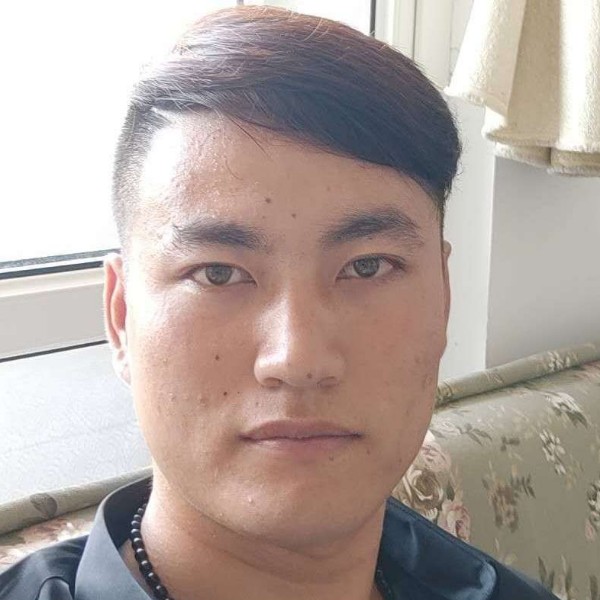 可爱挽手大雁的照片