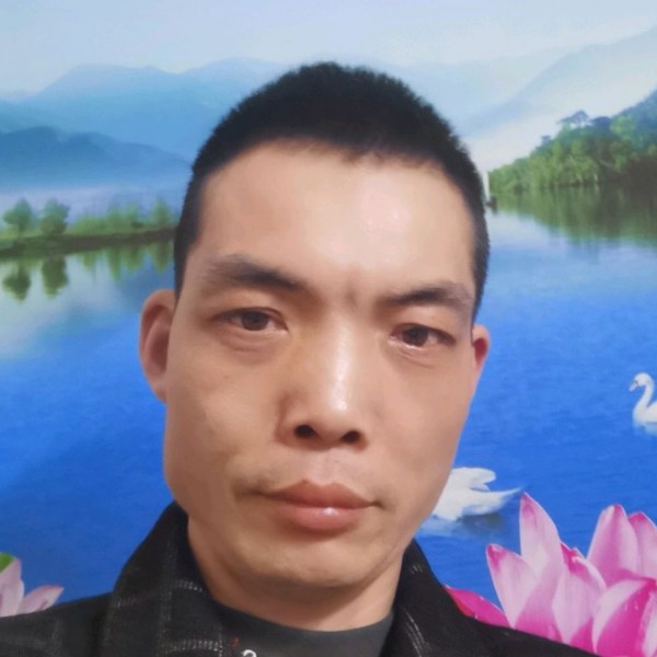 淡定演变白羊的照片