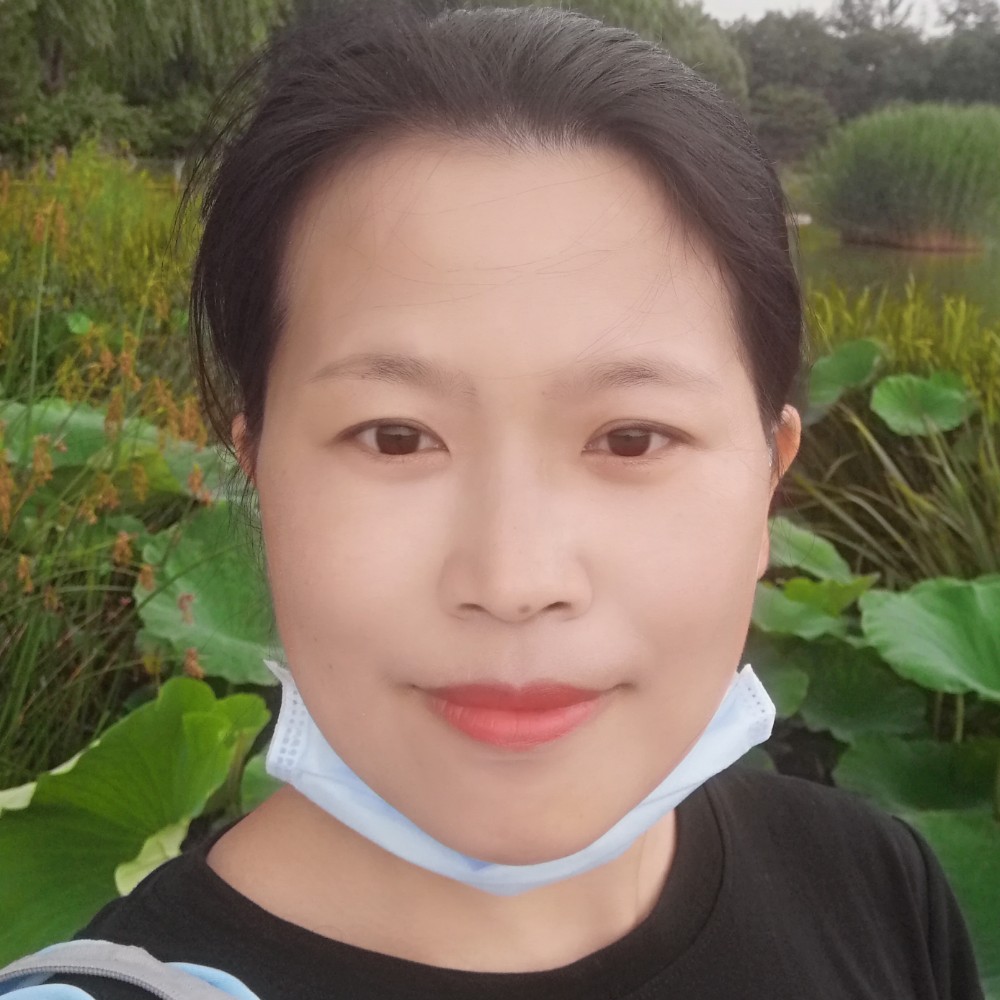 回家的燕子的照片