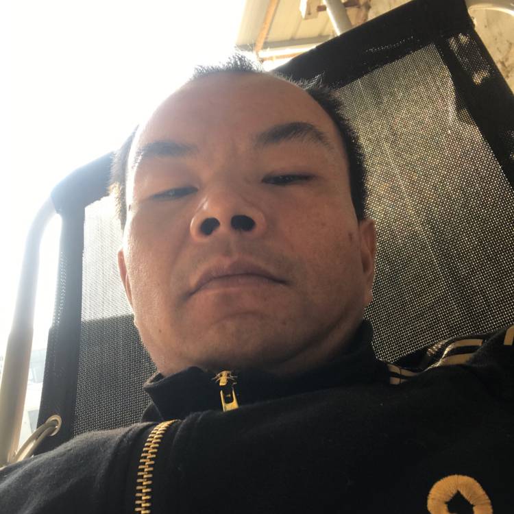 柠檬的照片