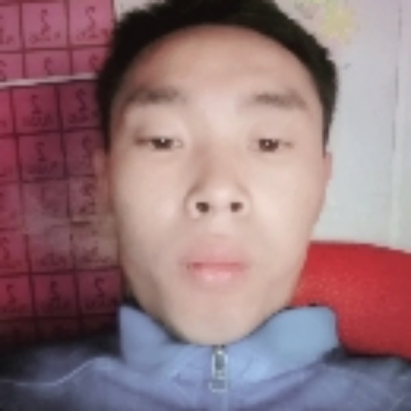 粗暴的大树的照片