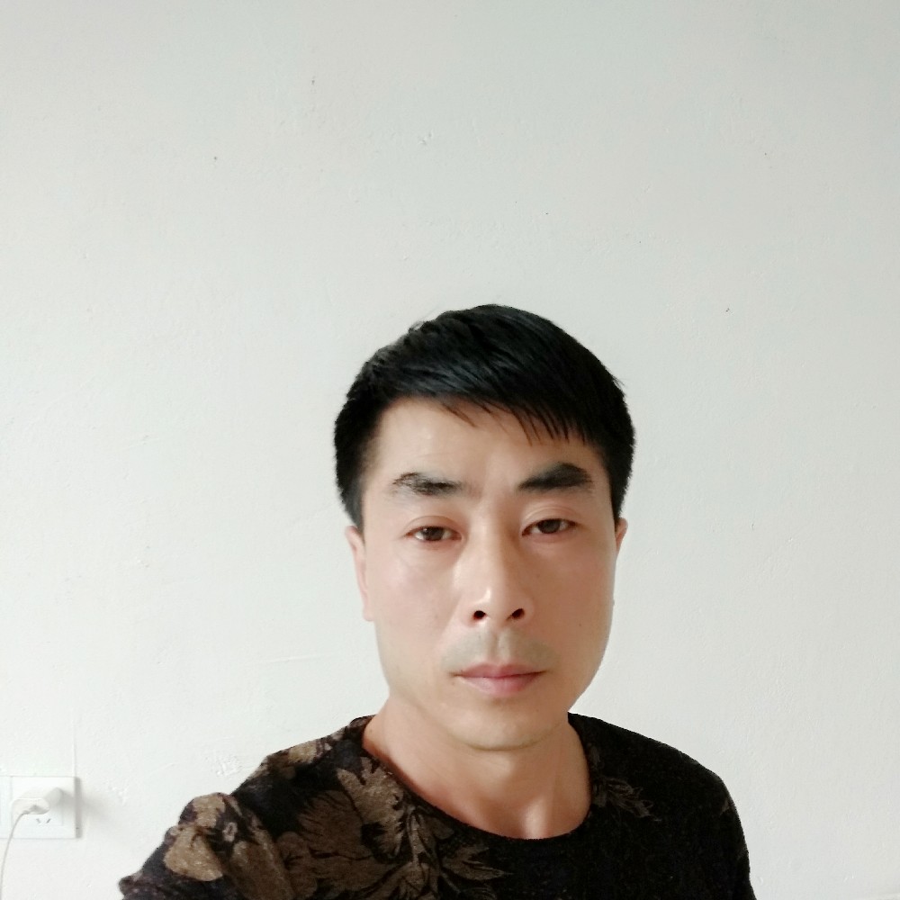 仙人掌愿任性的照片