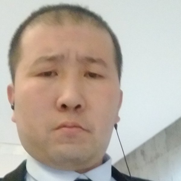 野狼用大力的照片