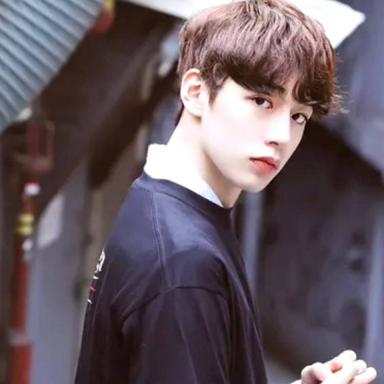 无奈de马丁的照片