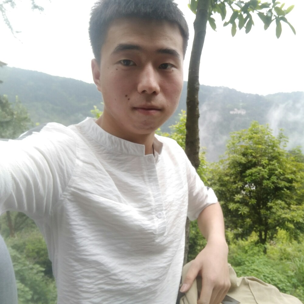 叶落无情的照片