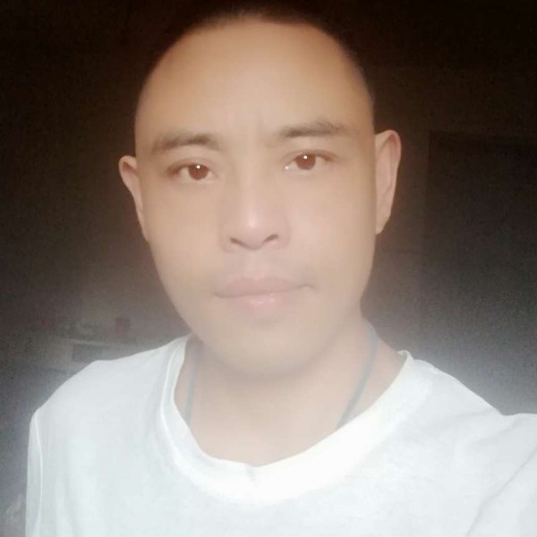 爱红枫叶的照片