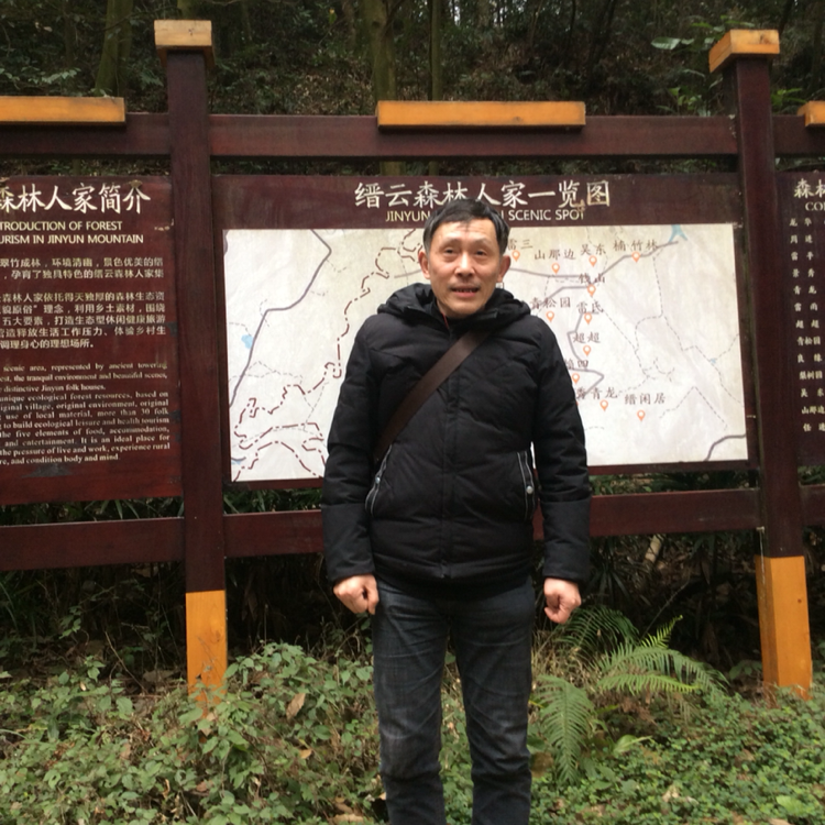 生命的延续的照片