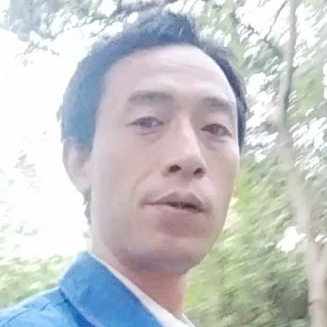 故事腼腆的照片