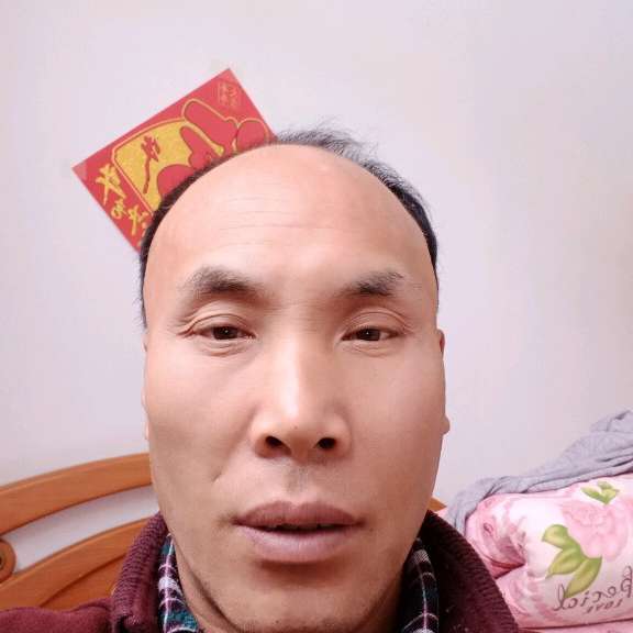 飞鸟請负责的照片