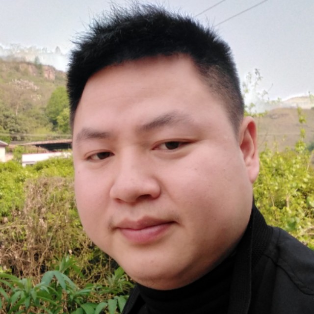 大雁不听话的的照片