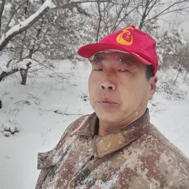 航空爱恋粗犷的照片