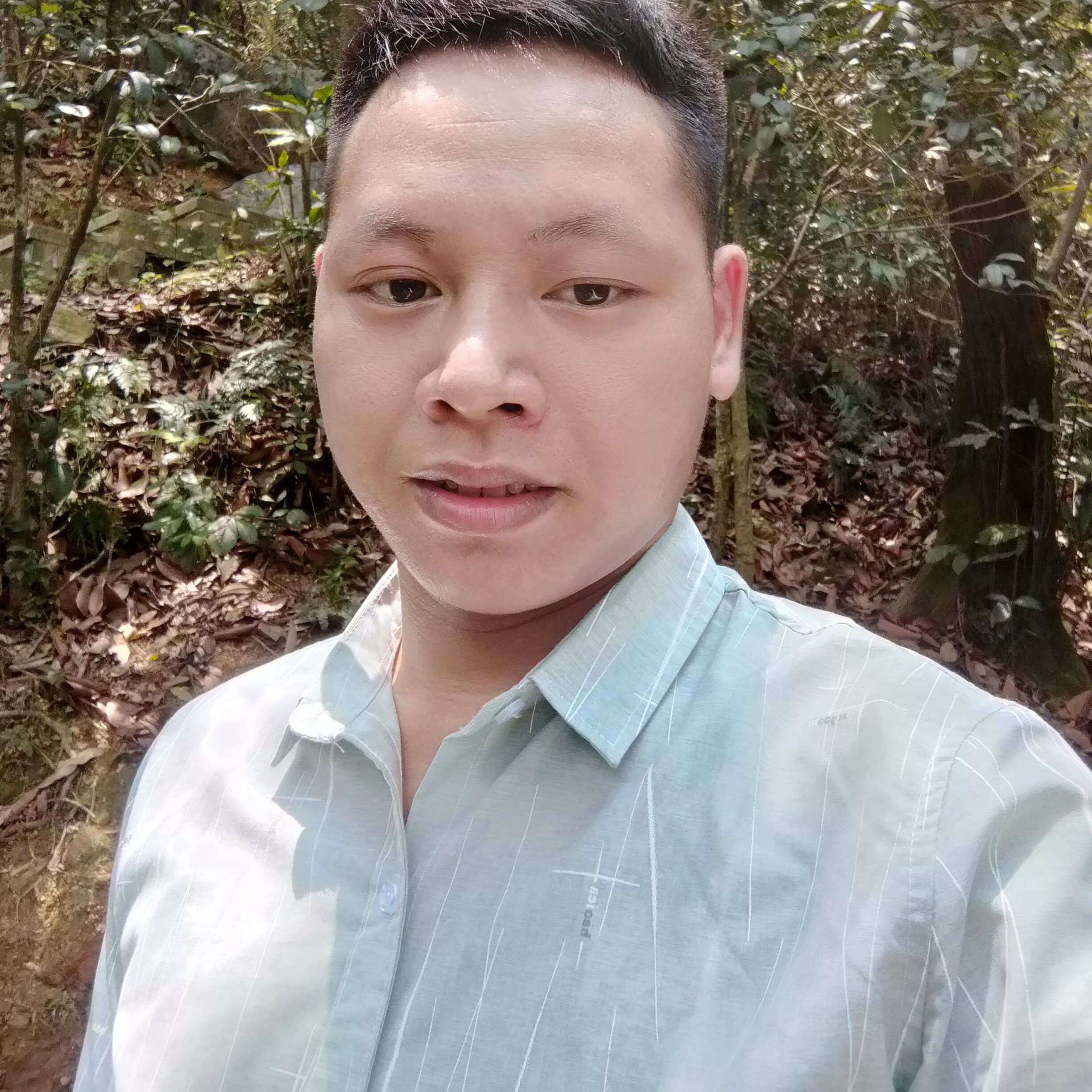 黎明落日的照片