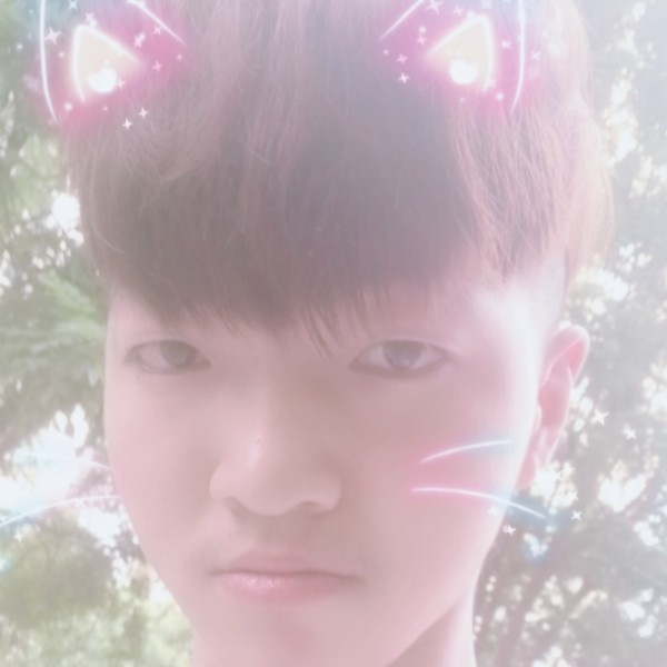 小猫咪相许缠绵的照片