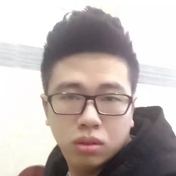 龙猫懦弱的照片