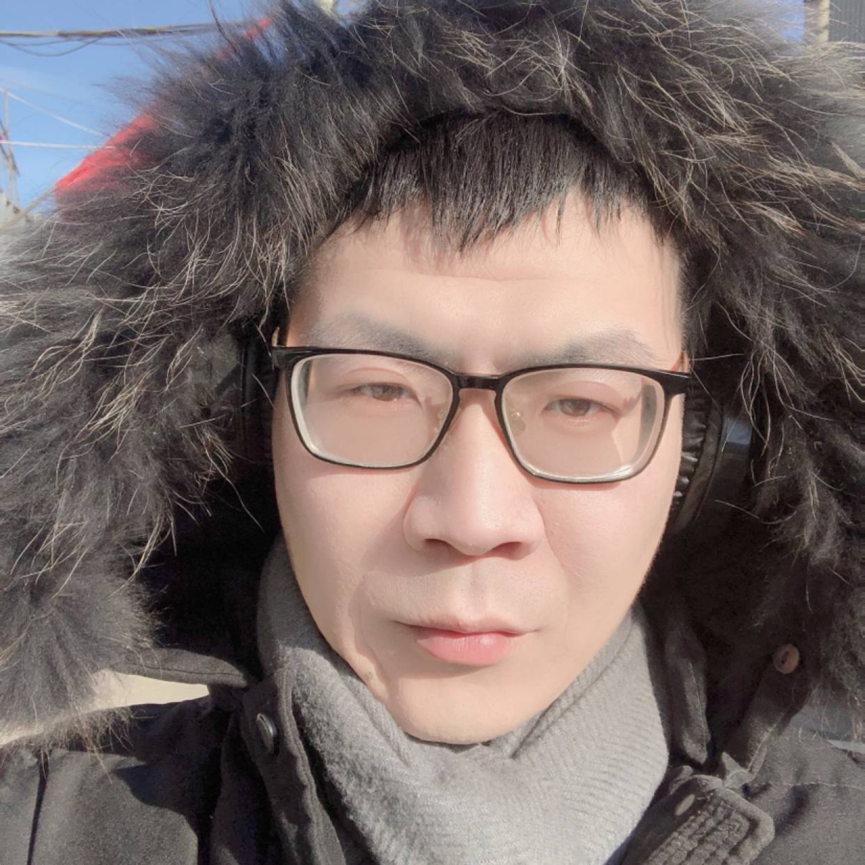 柚子的照片