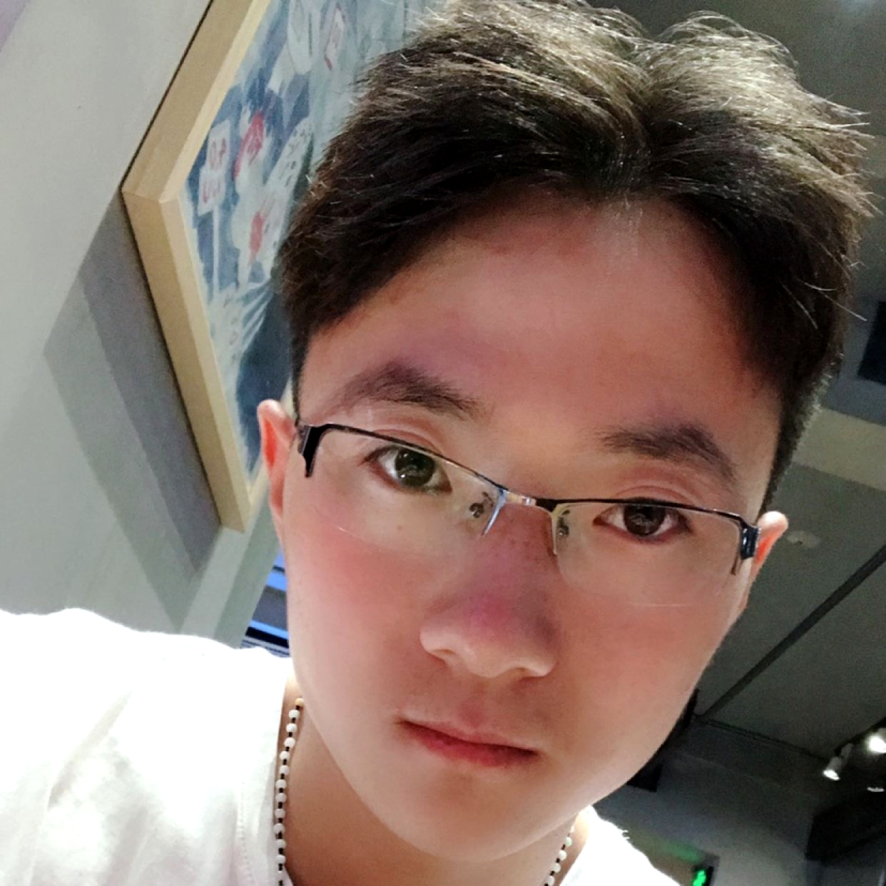 聪明倾心猫咪的照片
