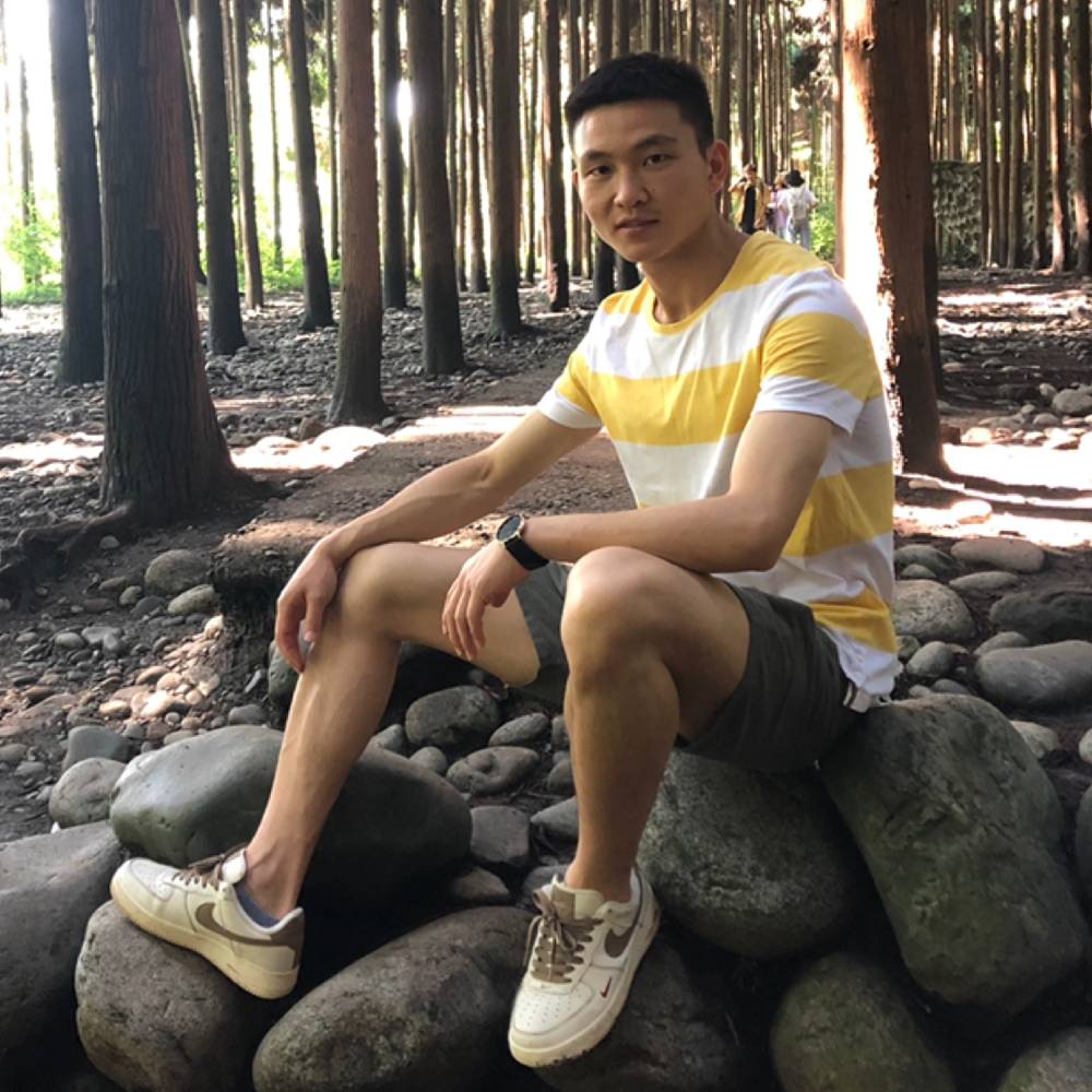 孤独的星愿的照片