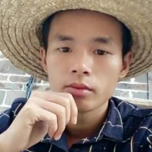 稳重蹁跹菠萝的照片