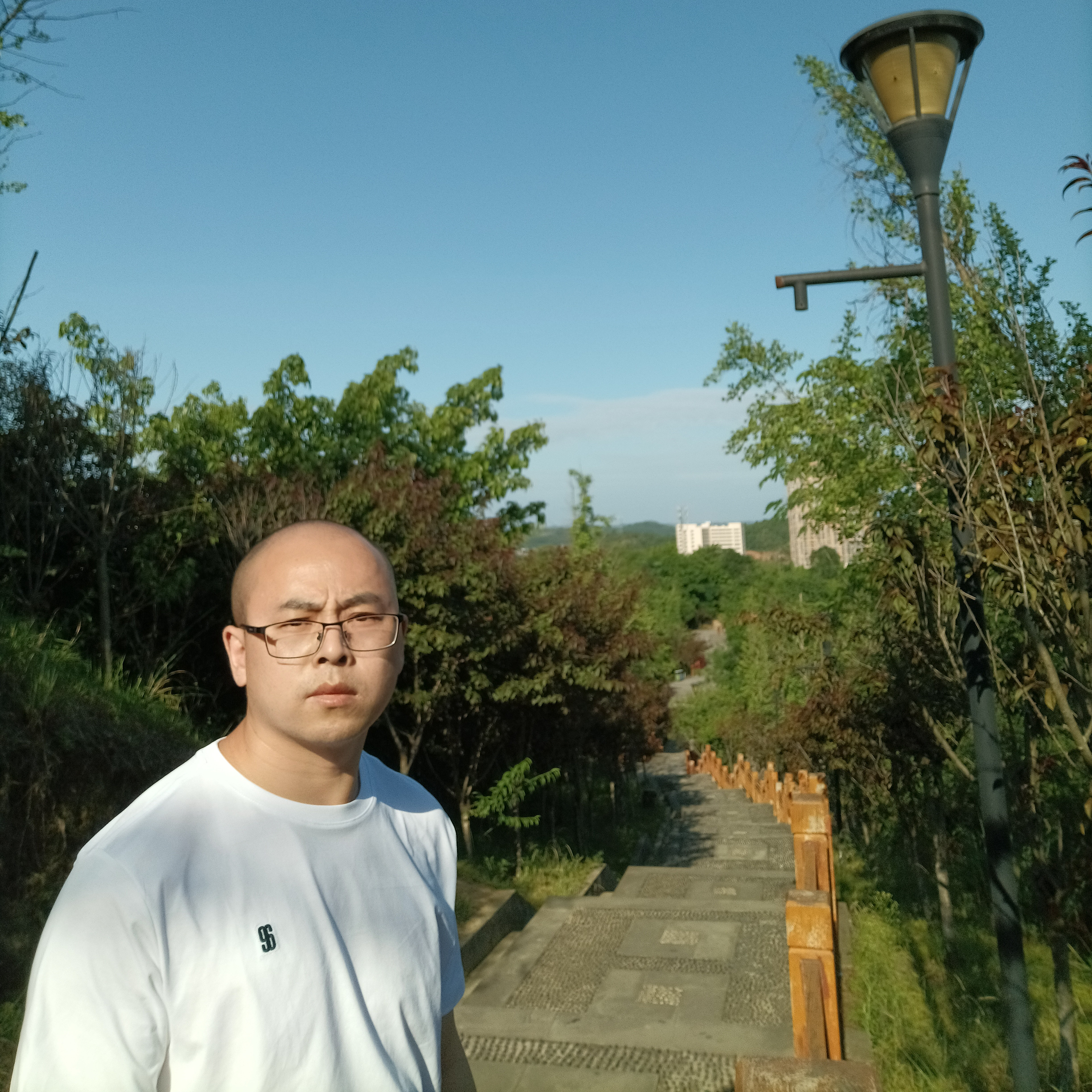 作恶的土豆的照片