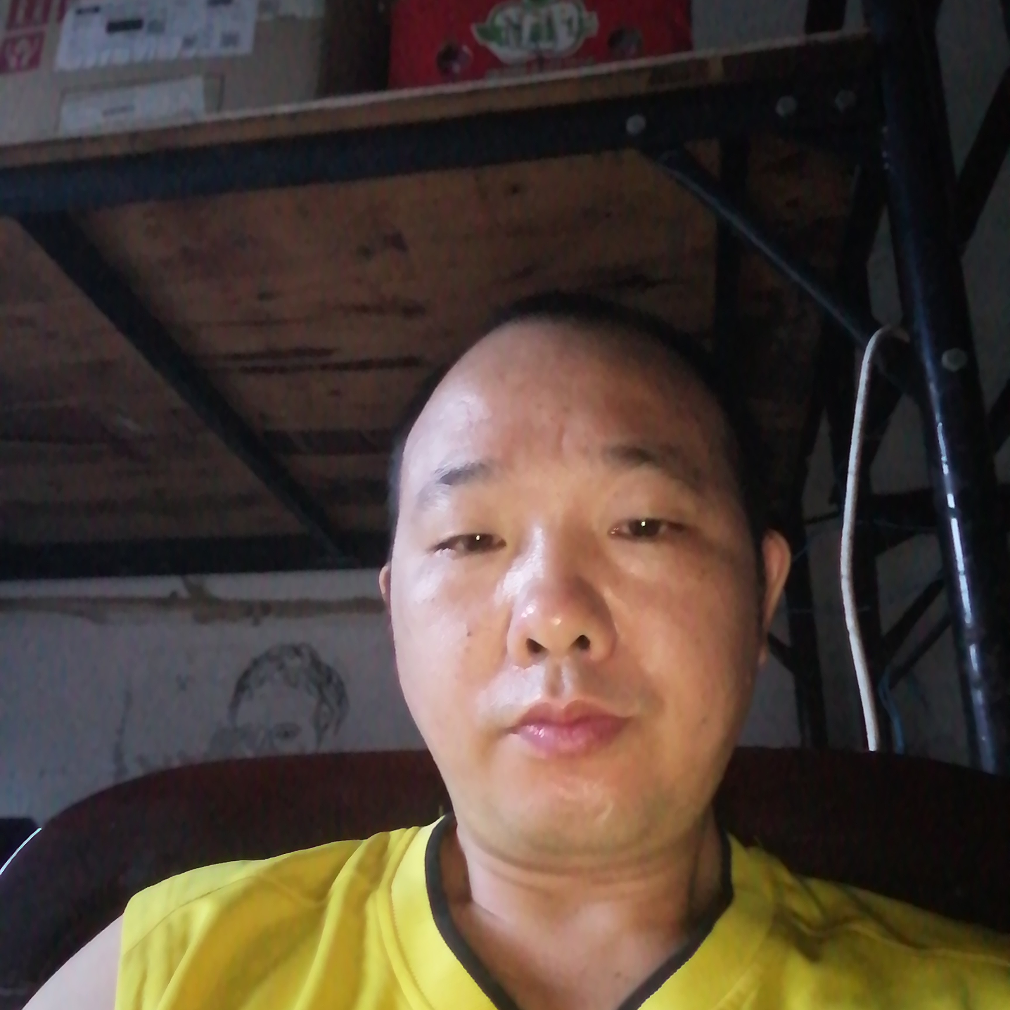 阳光和月亮464的照片