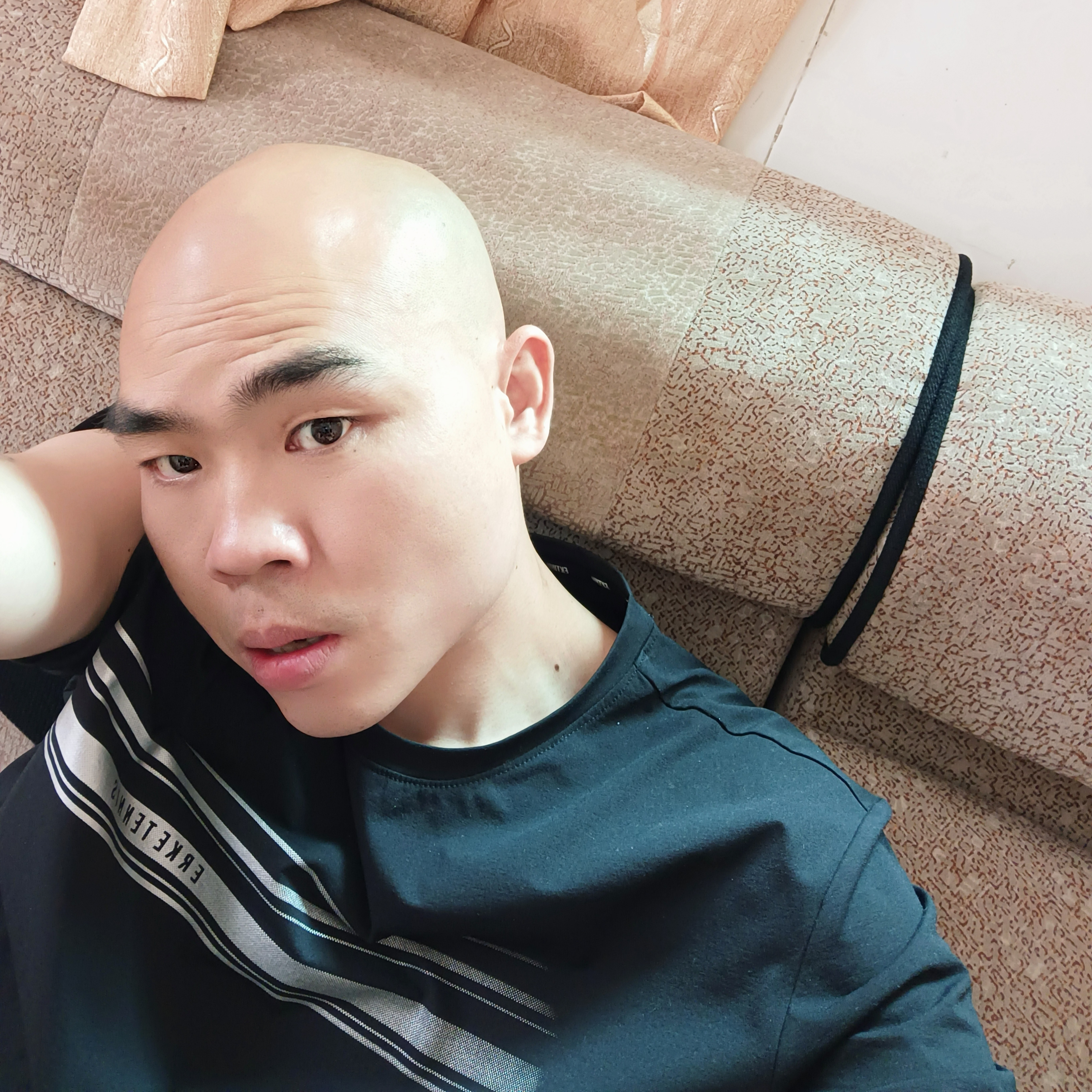 黑汉马的照片