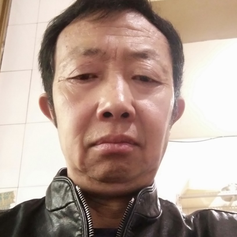 安详爱恋向日葵的照片