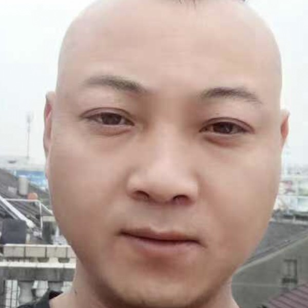 单纯向狗的照片
