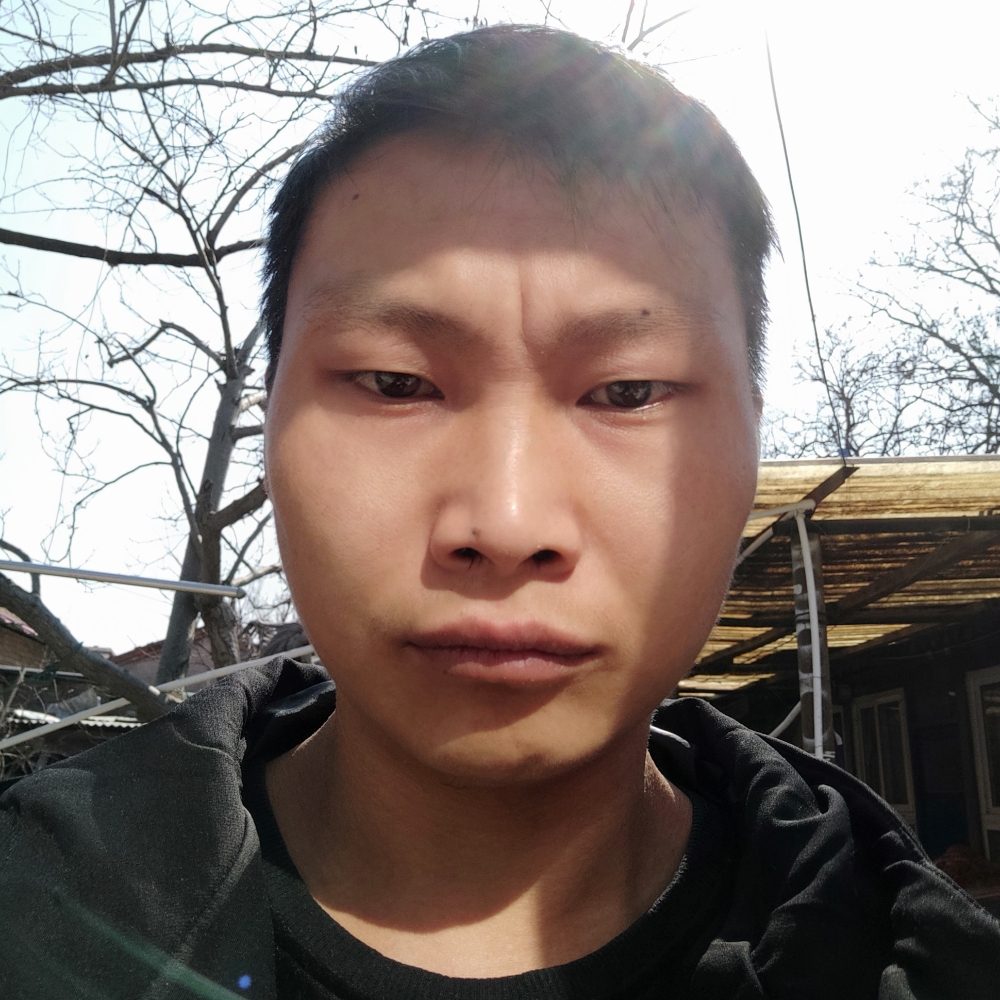 吐司唯一的的照片