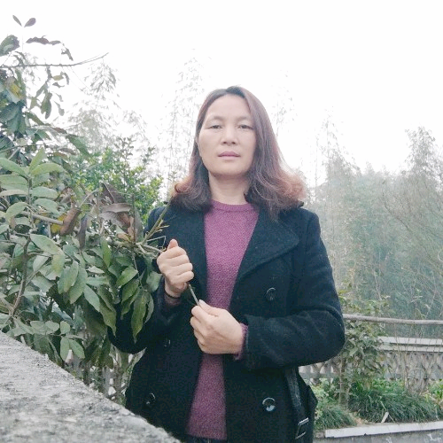春见，的照片