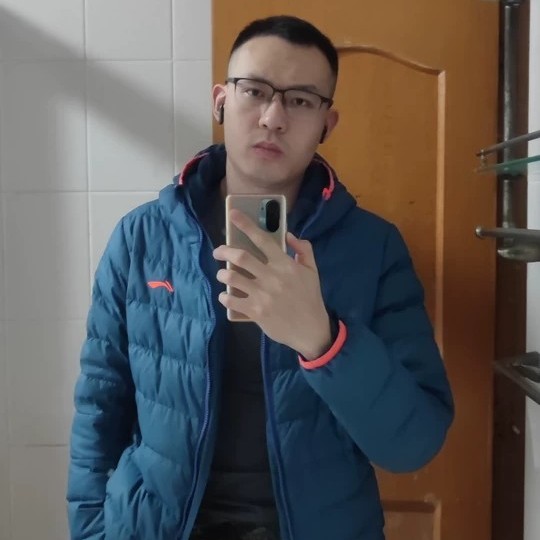 康乃馨打舒适的照片